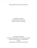 RECONOCIMIENTO DEL MATERIAL DE LABORATORIO RESUMEN