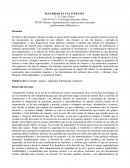 Ensayo sobre SEGURIDAD EN UNA INTRANET