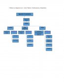 Sistema Cardiovascular y Respiratorio.