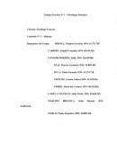 La psicología sistémica surge a finales del siglo XX, tiene sus inicios en Norteamérica, más precisamente en la ciudad de California..