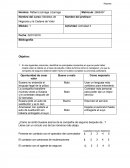 Actividad 3 modelos de negocios.