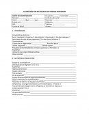 VALORACIÓN POR NECESIDADES DE VIRGINIA HENDERSON.