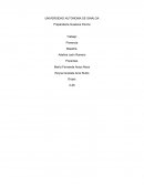 NIVEL DE APROVECHAMIENTO DE LAS CLASES