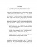 CATEGORIZACIÓN, TRIANGULACIÓN, ESTRUCTURACIÓN CONTRASTACIÓN, Y TEORIZACIÓN DE LA INFORMACIÓN.