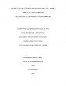 DISEÑO GEOMETRICO DE LA VÍA VILLAVICENCIO – PUERTO CARREÑO