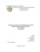 ANÁLISIS DE LOS NIVELES DE CONTAMINACIÓN EN EL COLEGIO