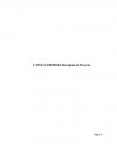 CAPÍTULO PRIMERO Descripción del Proyecto- Descripción