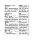 Perfiles- Proceso de Atención de Enfermería