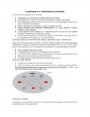 En pos de una teoría general de los sistemas.