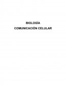 COMUNICACIÓN CELULAR: PRINCIPIOS GENERALES