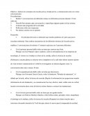 Escucha activa, Mirada activa y Comunicación activa
