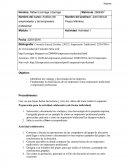 Actividad 1 Análisis del emprendedor y del empresario profesional