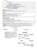 Unidad 2: Importancia de los Mamíferos en la evolución humana, Taxonomia de los hominidos y Aparición de los primeros homínidos