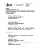 DESCRIPCION DE LA ESPECIALIDAD