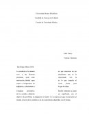 Niveles de las conductas.