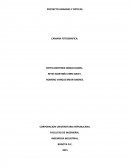 Trabajo: Proyecto hondas y opticas