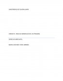 PRUEBAS MERCANTILES.