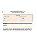 Trabajo colaborativo- Entrevista