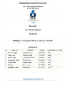 Vino rosella producto nuevo estrategia de marketing.