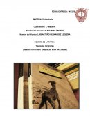 LIBRO DESGRACIA ENSAYO