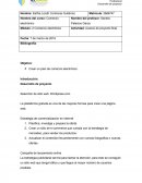 Tarea 2. Crear un plan de comercio electrónico