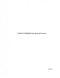 CAPÍTULO PRIMERO Descripción del Proyecto- Descripción. Página 1