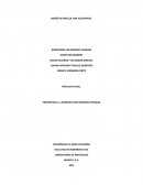 Diseño de mescla con acelrante