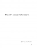 Sentido de un organismo como el parlamento desde un punto de vista político