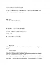 Calibrar y determinar el tipo de error en un manómetro por medio de la balanza de pesos muertos.. Página 1