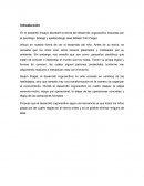 Desarrollo Cognoscitivo - Piaget