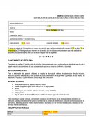 LA GRAN IDENTIFICACION DE VEHICULOS AUTOMOTORES TERRESTRERESTRES.