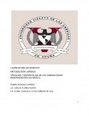 VENTAJAS Y DESVENTAJAS DE LAS CANDIDATURAS INDEPENDIENTES EN MÉXICO