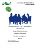 Ensayo-Ladrones-de-juntas