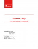 TEMA DE “Principio formativo de inmediación”