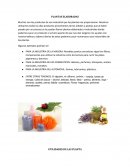 PLANTAS ELABORADAS y UTILIDADES DE LAS PLANTAS.
