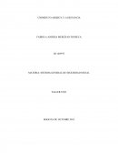 MATERIA: SISTEMA GENERAL DE SEGURIDAD SOCIAL
