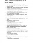 ANATOMÍA LOCOMOTOR.