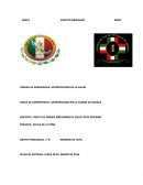 DISCENTE: CADETE DE PRIMER AÑO MARIO DE JESUS LOPEZ ZEFERINO