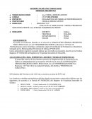INFORME TECNICO DEL VERIFICADOR