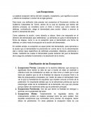 Excepciones en el Proceso Laboral.