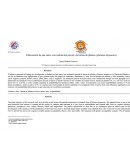 Elaboracion de pan suave de platano