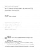 Calibrar y determinar el tipo de error en un manómetro por medio de la balanza de pesos muertos.
