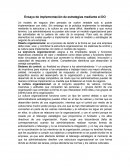 Ensayo de implementación de estrategias mediante el DO