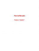 Plan de Mercado