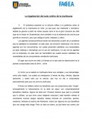 Economia grupal sobre columna the clinic.