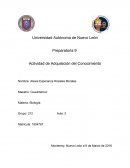 Actividad de Adquisición del Conocimiento El Sistema Esquelético