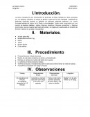 La ceniza volcánica es una composición de partículas de roca y mineral muy finas eyectadas por una apertura volcánica