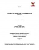 Ensayo ¿Como influyen las estrategias en el desempeño de las empresas?