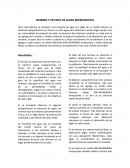 SIEMBRA Y ESTUDIO DE ALGAS MICROSCOPIAS
