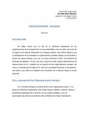 Organizaciones sociales.